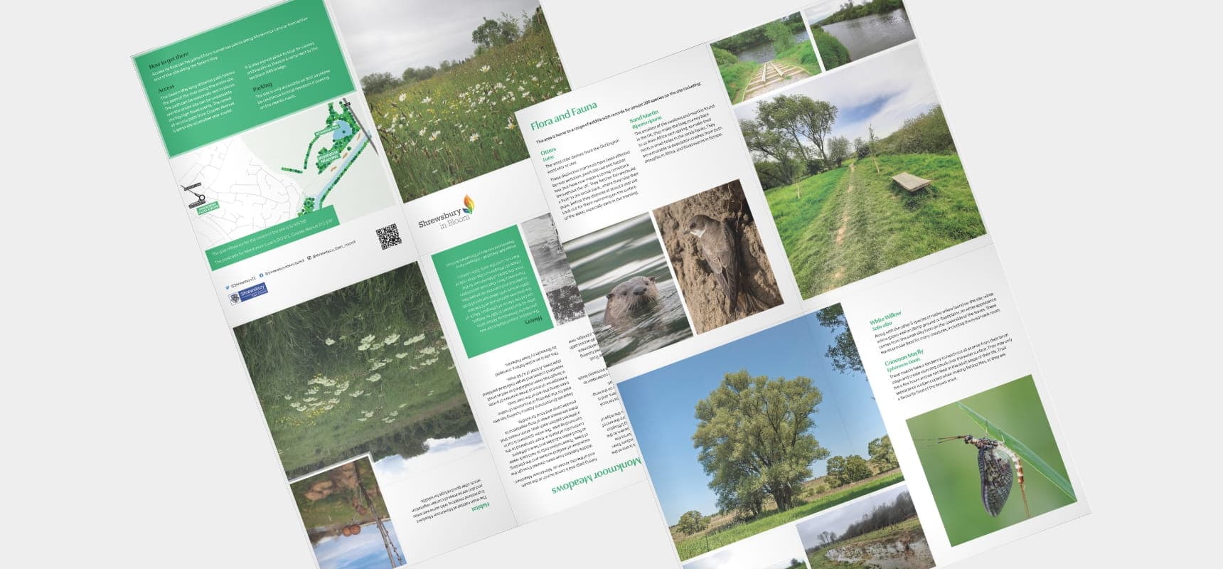 Shrewsbury in Bloom folding brochure