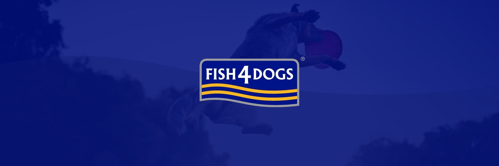 Fish4Dogs